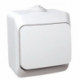 Schneider Electric Cedar Plus Light Switch