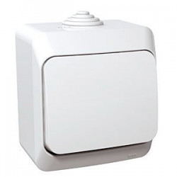 Schneider Electric Cedar Plus Light Switch