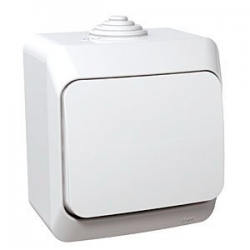 Schneider Electric Cedar Plus Light Switch