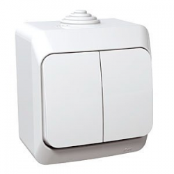 Schneider Electric Cedar Plus Dual Key Switch