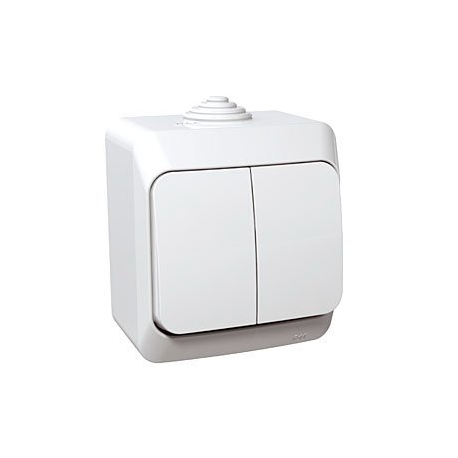 Schneider Electric Cedar Plus Dual Key Switch