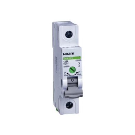 NOARK Ex9I125 Circuit Breaker