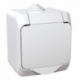 Schneider Electric Cedar Plus Plug Socket