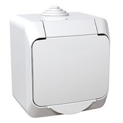 Schneider Electric Cedar Plus Plug Socket