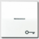 JUNG AS 500 Key with Symbol