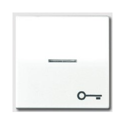 JUNG AS 500 Key with Symbol