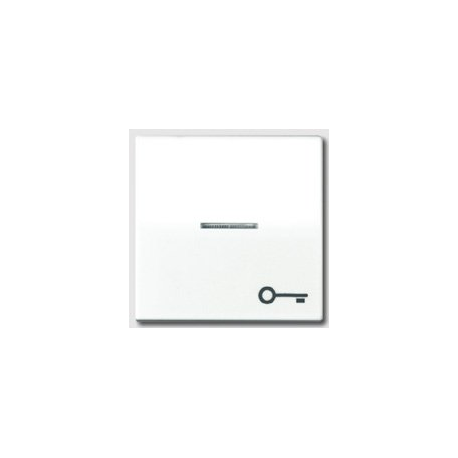 JUNG AS 500 Key with Symbol