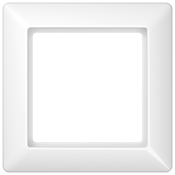 JUNG AS 500 Series Frame