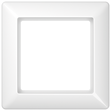 JUNG AS 500 Series Frame
