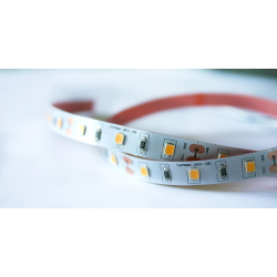 AKTO 12V Flexible LED Light Strip