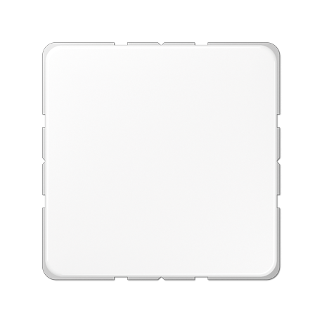 JUNG CD 500 Blind Cover Plate