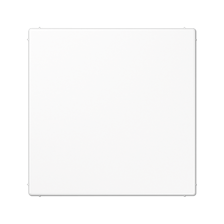 JUNG LS 990 Blind Cover Plate