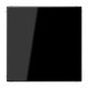 JUNG LS 990 Blind Cover Plate