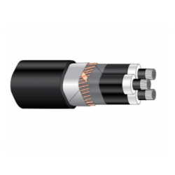Kabelis AHXCMK-WTC/PE(WTR) 6/10kV