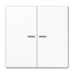JUNG LS 990 Double Switch Buttons with Illuminated Glass Frame