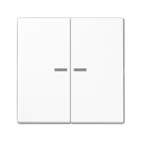 JUNG LS 990 Double Switch Buttons with Illuminated Glass Frame