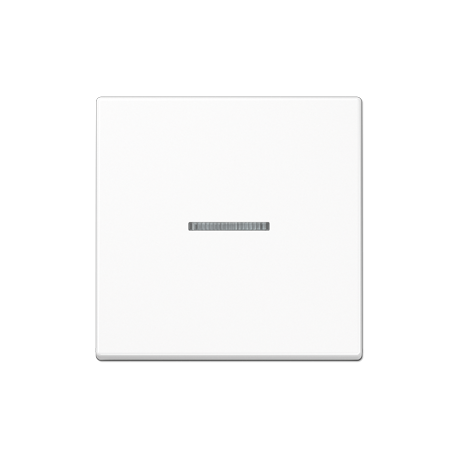 JUNG A Series Single Switch Key with Light Window