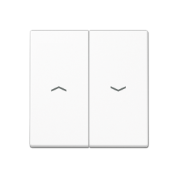 JUNG A Series Double Switch Keys with Arrows