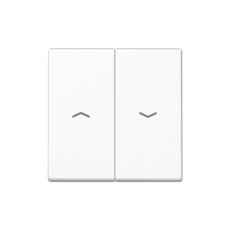 JUNG A Series Double Switch Keys with Arrows JUNG A Series Double Switch Keys with Arrows