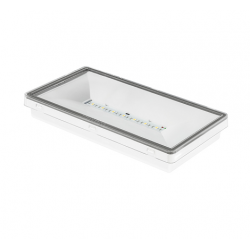 TM-TECHNOLOGIE Ontec S M1 301 MST IP65 White Wall-Mounted Emergency Light