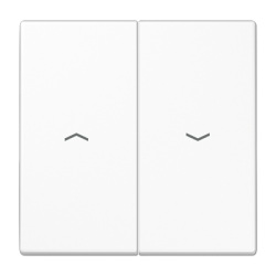 JUNG LS 990 Double Switch Keys with Arrows