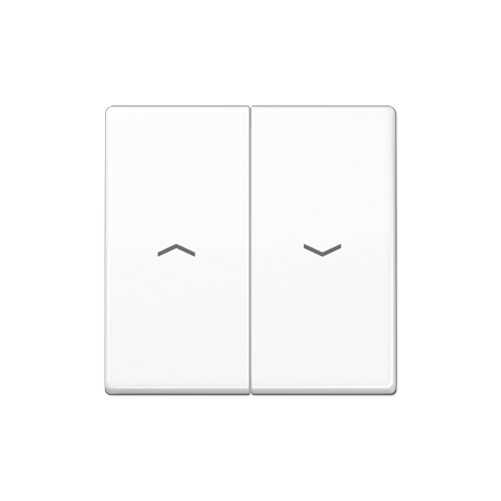 JUNG AS 500 Double Switch Keys with Arrows