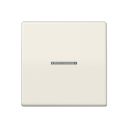 JUNG Illuminated Glass Frame Single Switch Button