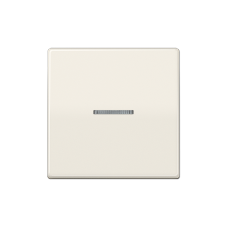 JUNG Illuminated Glass Frame Single Switch Button JUNG Illuminated Glass Frame Single Switch Button
