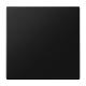 JUNG LS990 Single Switch Button