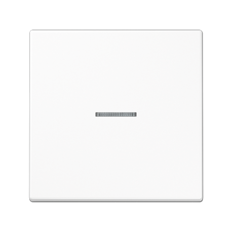 JUNG LS 990 Illuminated Glass Frame Single Switch Button