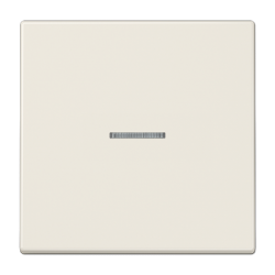 JUNG LS 990 Illuminated Glass Frame Single Switch Button