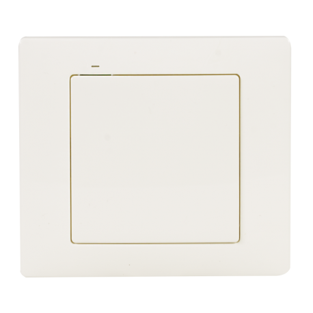 ZAMEL RNK 2/4 Channel Button Transmitter