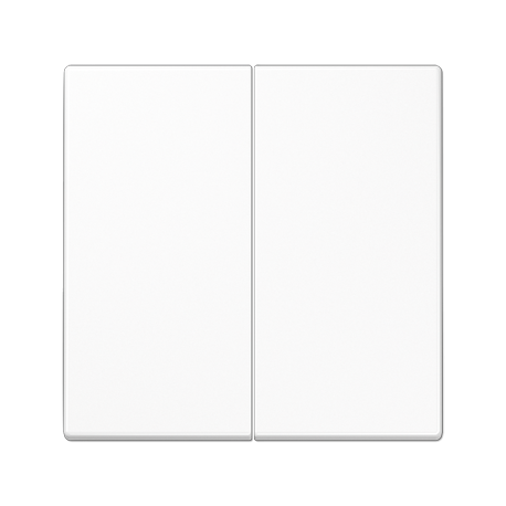 JUNG LS990 Double Light Switch Buttons