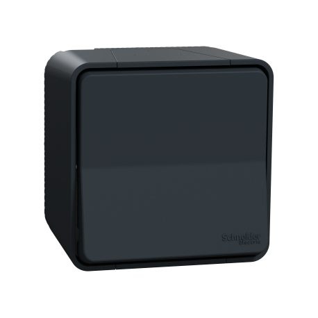 SCHNEIDER ELECTRIC Mureva surface switch