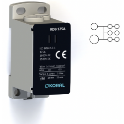 Terminale TBB oddziałów głównych KORAL